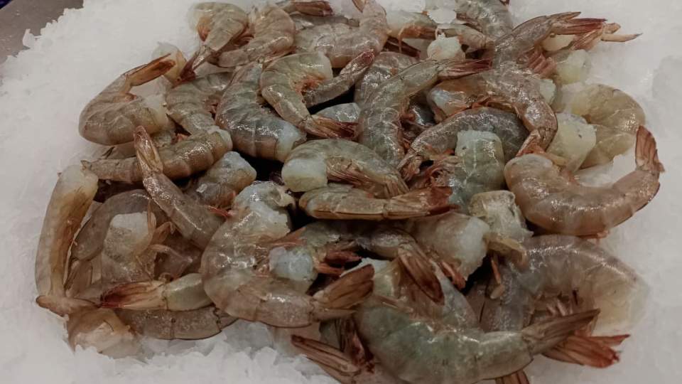 Recomienda ISSSTESON cuidar el estado de los alimentos en Semana Mayor
